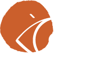 Our Vision